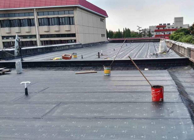 松江区厂房屋面防水